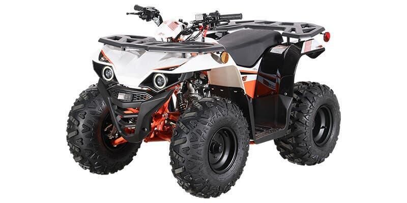 New 2025 KAYO BULL 110 Image 1