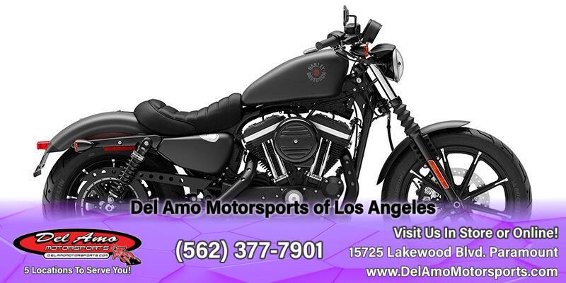 2019 Harley-Davidson Sportster Iron 883Image 1