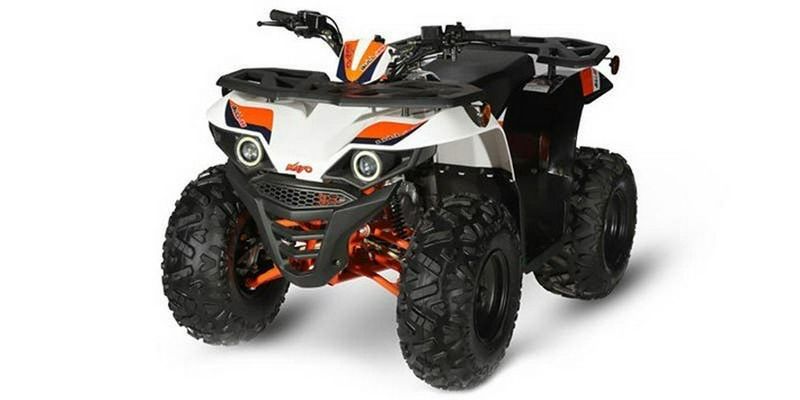 2023 Kayo Bull in a White exterior color. New England Powersports 978 338-8990 pixelmotiondemo.com 