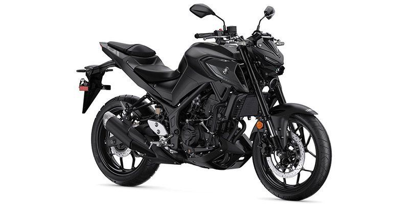 2021 Yamaha MT 03Image 6