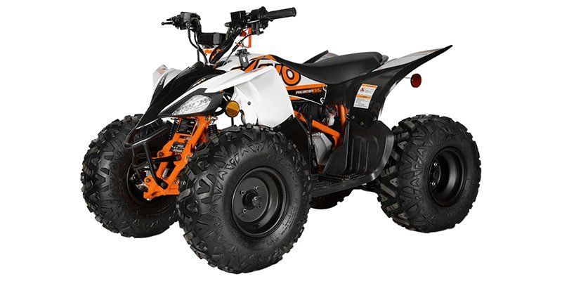 2024 KAYO PREDATOR 125Image 14