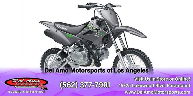 2025 Kawasaki KLX 110R LImage 1