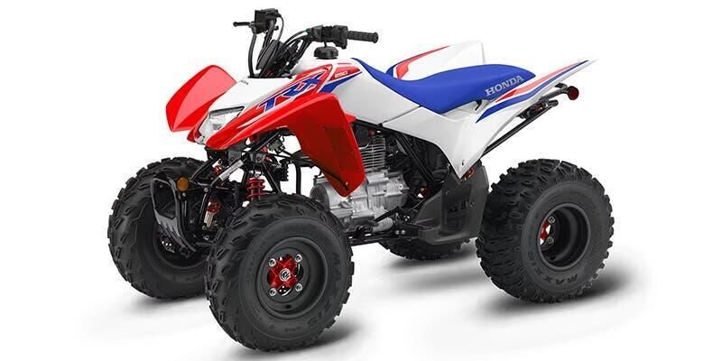 2025 Honda TRX 250X Image 1