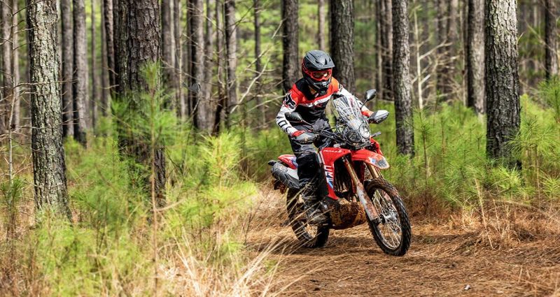 New 2026 Honda CRF300L RALLY 