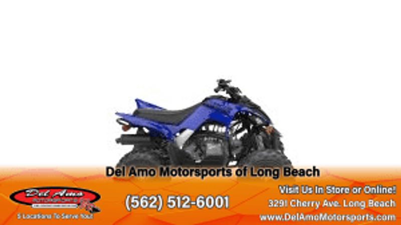 2024 Yamaha RAPTOR 110Image 20