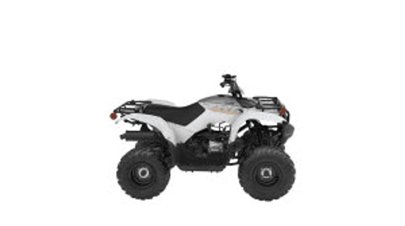 2024 Yamaha GRIZZLY 90 WHITE AND ARMOR GRAY Image 23