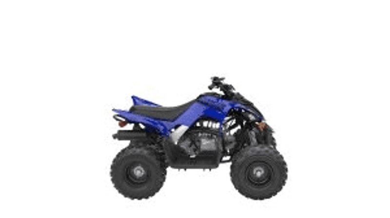 2024 Yamaha RAPTOR 110 Image 1