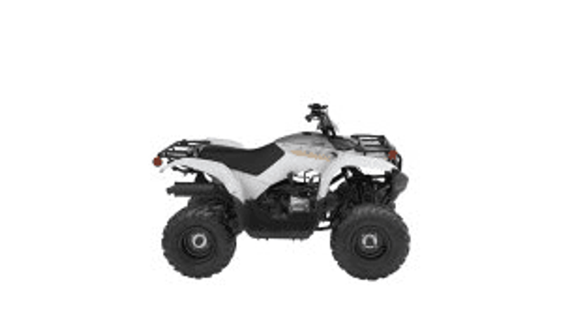 2024 Yamaha GRIZZLY 90 WHITE AND ARMOR GRAYImage 1