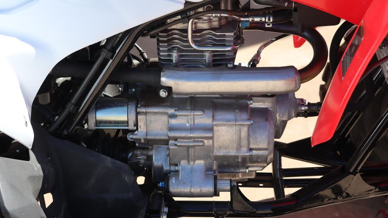 2025 Honda TRX250X Image 11