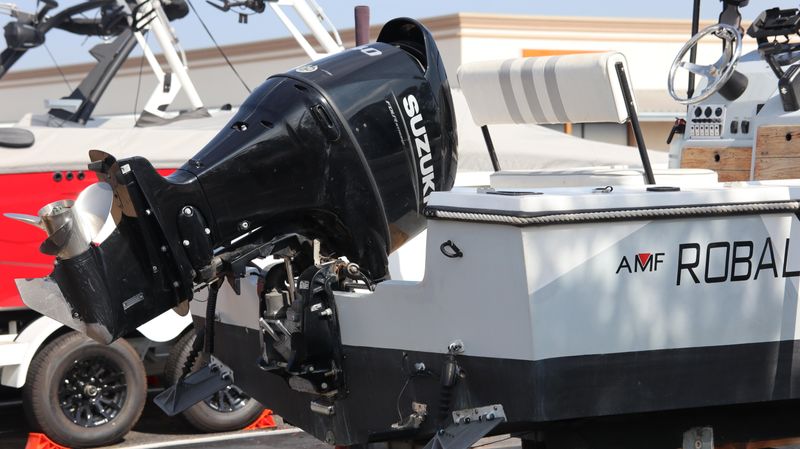 Used 1976 ROBALO AMF Image 5