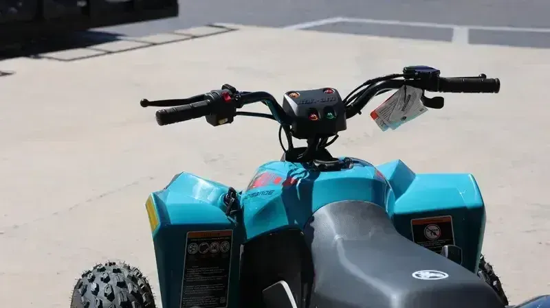 NEW 2026 CAN-AM RENEGADE 110 EFI Image 8