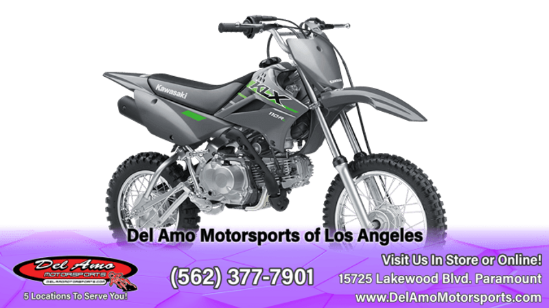 2025 Kawasaki KLX 110R LImage 1