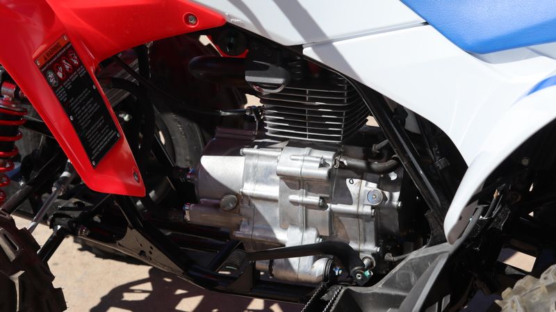 2025 Honda TRX250X Image 9