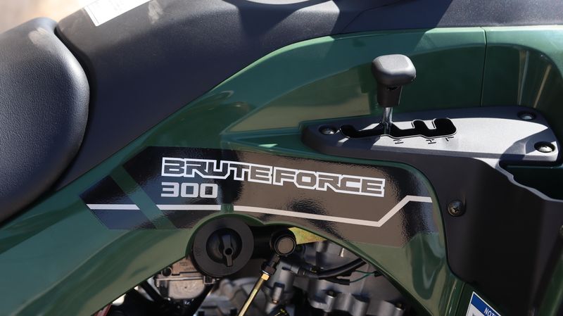 2025 Kawasaki BRUTE FORCE 300Image 8