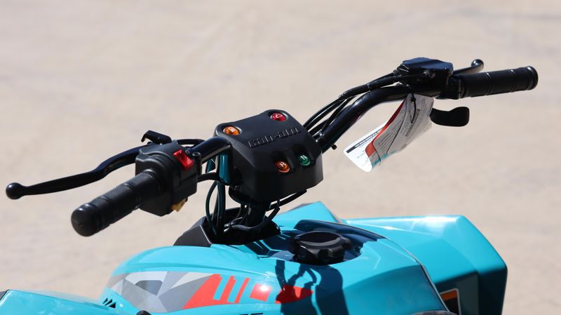 2025 Can-Am RENEGADE 110 EFI ICEBERG BLUE AND BLACK Image 7