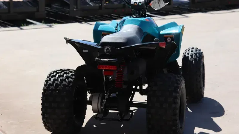 NEW 2026 CAN-AM RENEGADE 110 EFI Image 4
