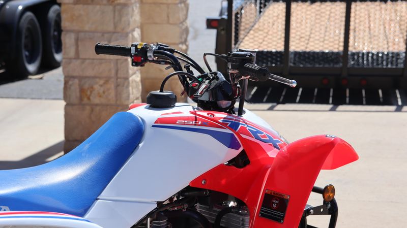 2025 Honda TRX250X Image 13