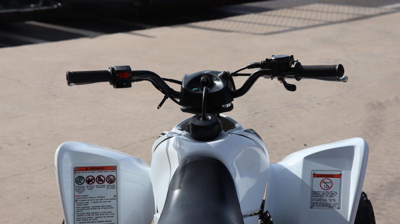2019 Honda TRX 90X Image 6