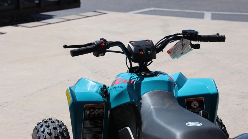 2025 Can-Am RENEGADE 110 EFI ICEBERG BLUE AND BLACK Image 6