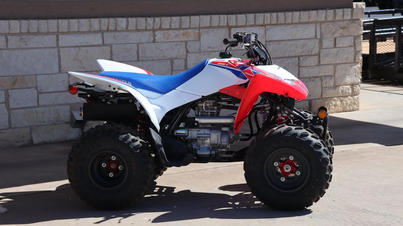 2025 Honda TRX250X Image 2