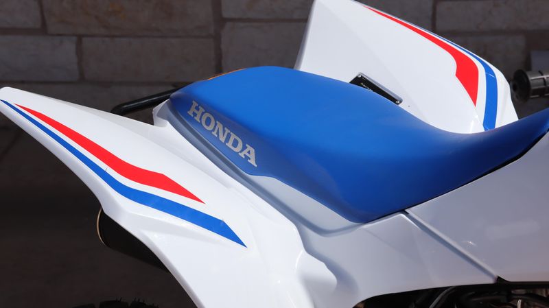 2025 Honda TRX250X Image 9