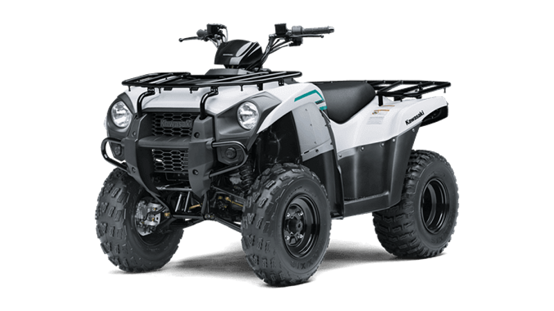 USED 2023 KAWASAKI BRUTE FORCE 300 Image 1