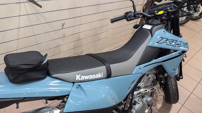 2025 Kawasaki KLX 300SMImage 5