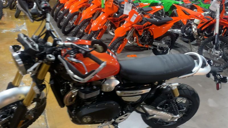 New 2025 Triumph SCRAMBLER 1200 XE Image 7