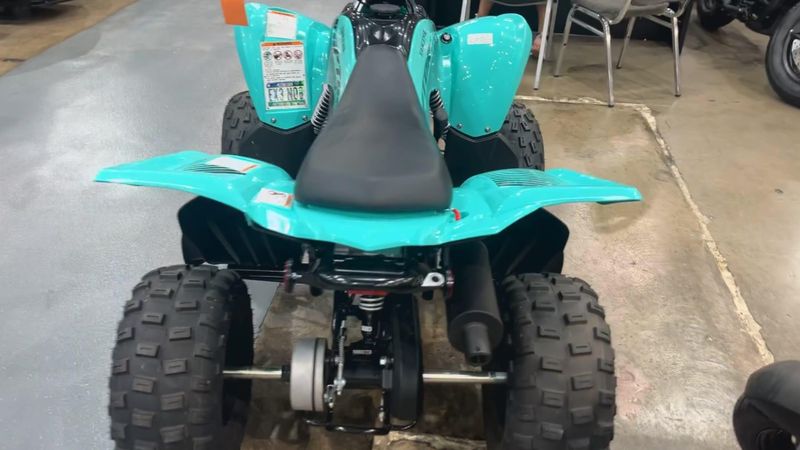 Used 2024 Yamaha Raptor 110 Image 4