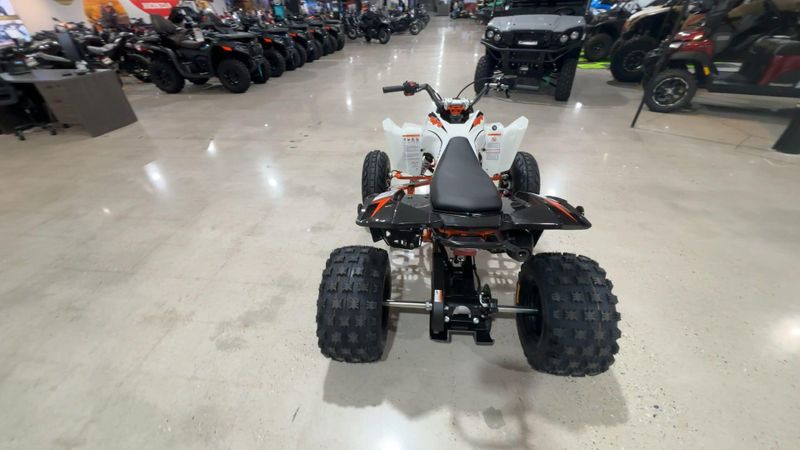 New 2027 Kayo STORM 300 Image 9
