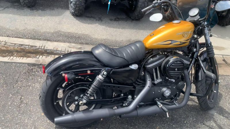 Used 2016 Harley-Davidson Sportster Iron 883 Image 4