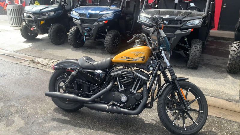 Used 2016 Harley-Davidson Sportster Iron 883 Image 5