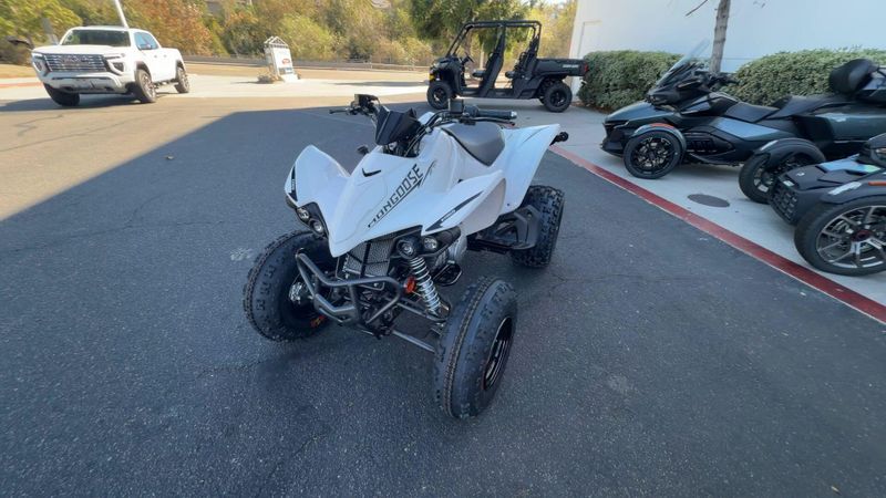 New 2026 Kymco MONGOOSE 270I Image 4