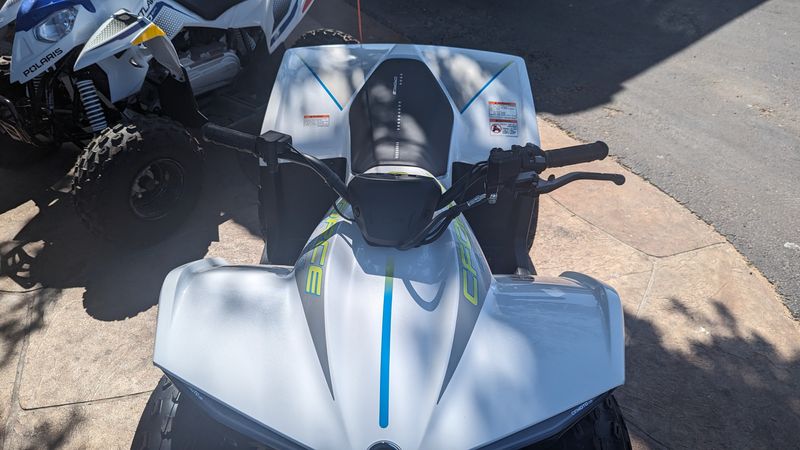 2024 CFMOTO CFORCE 110 EV Image 11