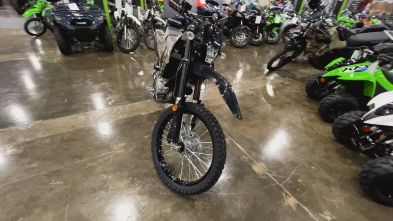 New 2026 Kawasaki KLX300 Image 3