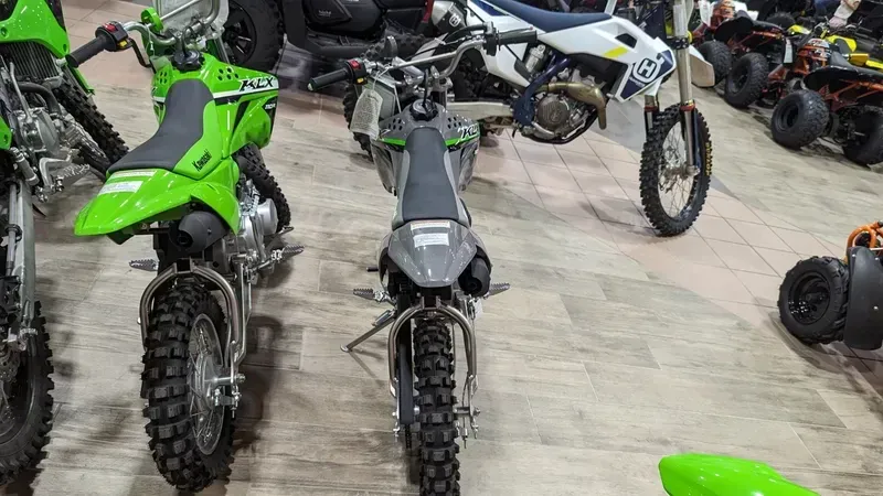 2024 Kawasaki KLX110R L BATTLE GRAY Image 5