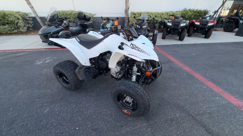 New 2026 Kymco MONGOOSE 270I Image 2