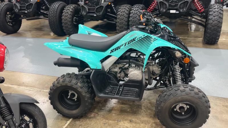 Used 2024 Yamaha Raptor 110 Image 5