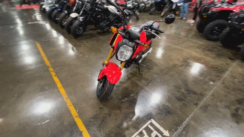 New 2025 Honda Grom Image 3