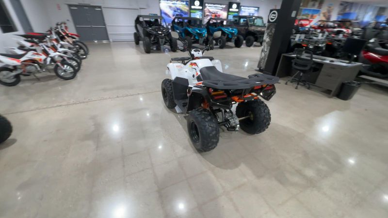 New 2026 Kayo BULL 300 EFI Image 4