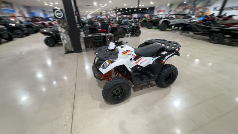 New 2026 Kayo BULL 300 EFI Image 2