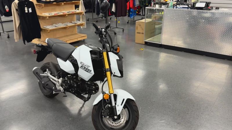 New 2026 Honda Grom Image 3