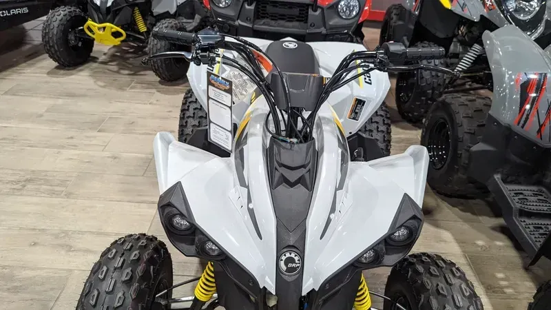 2024 Can-Am RENEGADE 110 EFI CATALYST GRAY AND NEO YELLOWImage 10