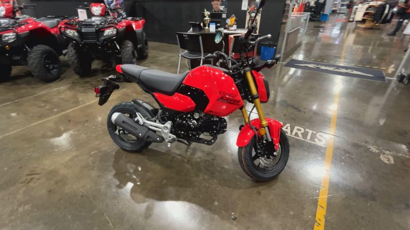 New 2025 Honda Grom Image 9