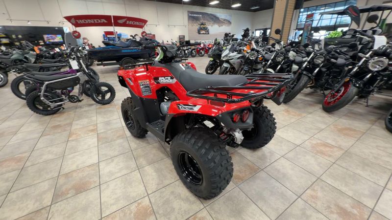New 2026 Kawasaki BRUTE FORCE 300 Image 7