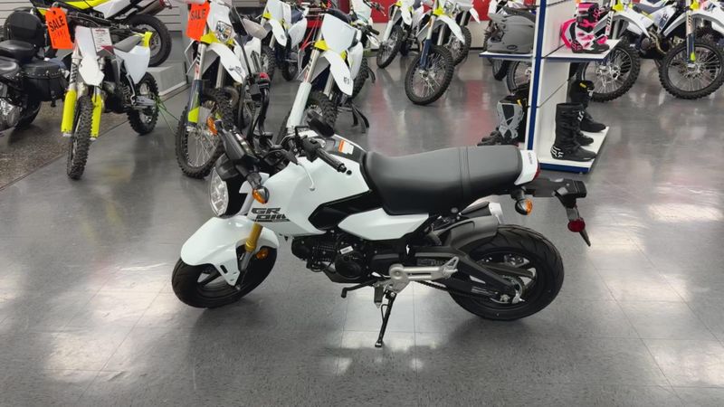 New 2026 Honda Grom Image 5