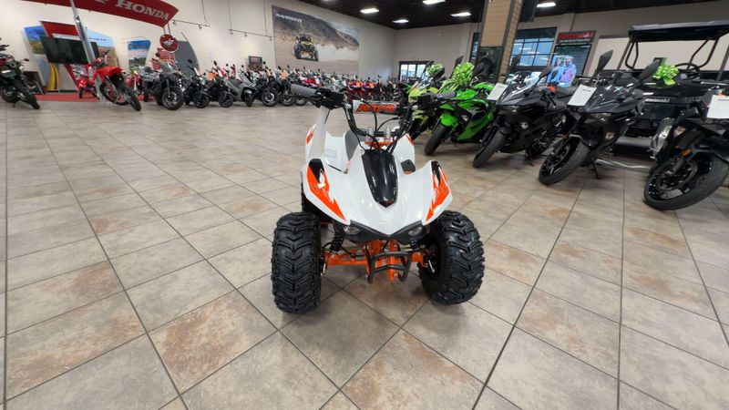 New 2026 Kayo STORM 70 Image 4