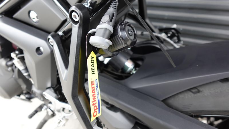New 2026 Triumph Tiger Sport 800 