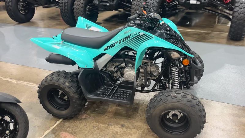 Used 2024 Yamaha Raptor 110 Image 6