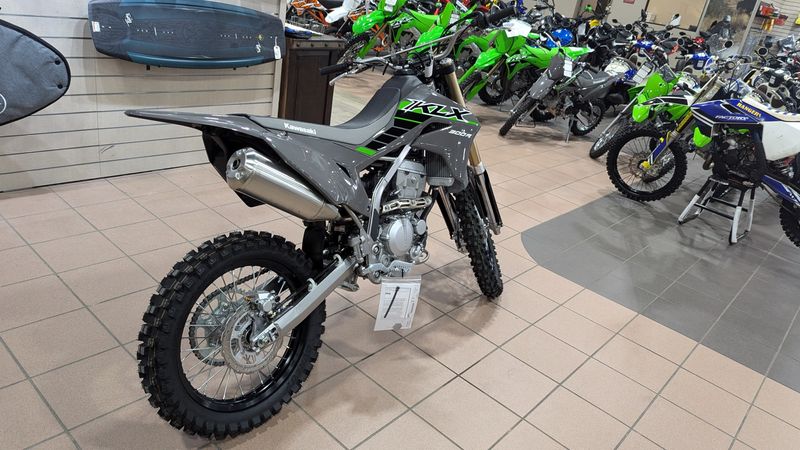 2025 Kawasaki KLX 300RImage 5